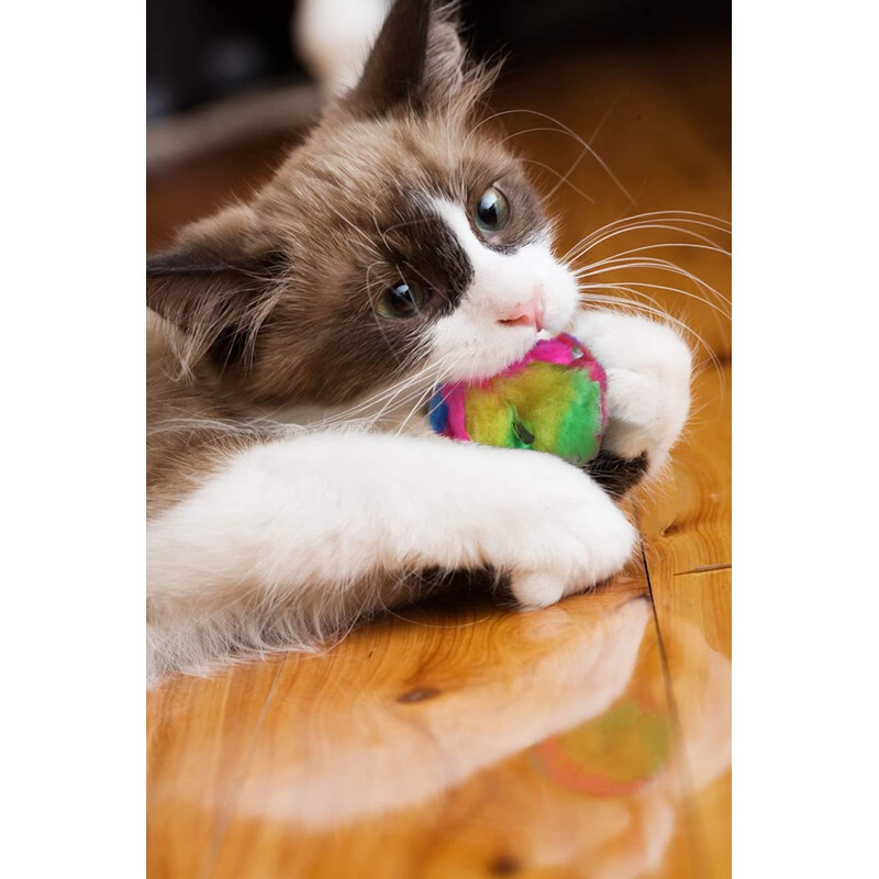 CanCor Original Crinkle Ball (Large) Crinkle Sounds Cat Toy Mylar