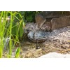 Esotec Solar Pond Pump 2 Watt Solar module 175 l/h