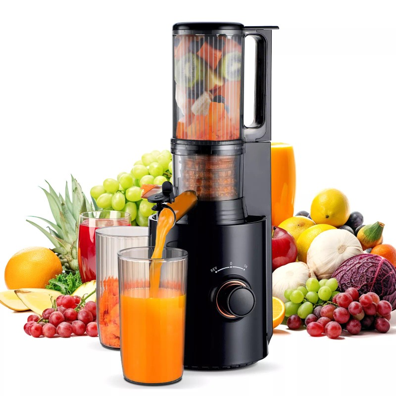 Sovider Compact Slow Juicer Machine Electric Juicer Cold Press Squeezer