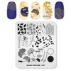 Alexnailart Professional Nail Stamping Plates Autumn Leaves Ginkgo Verse Pattern