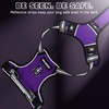 WINSEE Dog Harness No Pull, Pet Harnesses with Dog Collar,