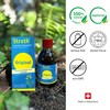 Strath Fermented Herbal Yeast Postbiotic - (8.4 Fl oz) Daily
