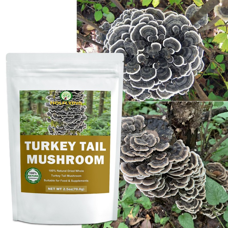 Dried Whole Turkey Tail Mushrooms - 2.5 oz, All-Natural Turkey
