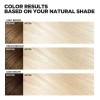 Decolorante Para El Cabello Loreal Paris Feria Hyper Platinu