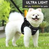 GAMUDA Small Dog Harness Collar and Leash Set, Step in