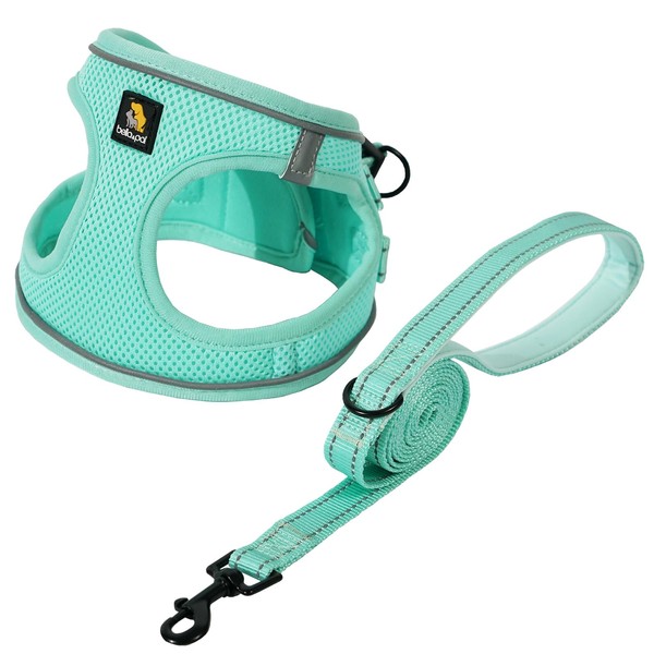 BELLA & PAL Puppy Harness with Leash Set, Dog Harness
