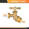 2-Pack HeSun Brass No-Kink Hose Bibb Valve, 3/4" MIP Inlet