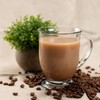 Tea Zone 1.1 lb Iced Coffee Mix