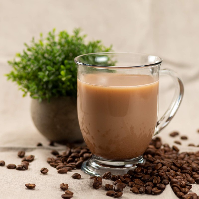 Tea Zone 1.1 lb Iced Coffee Mix