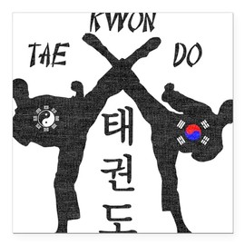 CafePress Tae Kwon Do III Vintage Square Car Magnet, Magnetic Bumper Display