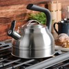Kenmore Elite Costner 2.3 Qt Stainless Steel Tea Kettle w/Encapsulated