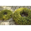 artplants. de Myrtle Decorative Wreath Jarik, Green, Diameter 20 cm,
