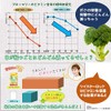 Freshness Retention Bag, Long-Lasting Vegetable Twister Lock, Medium Size, 15