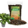 Expert Dumb Cane Plant Potting Soil Mix by Gardenera -