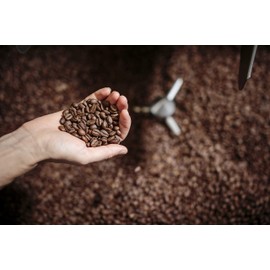 Nossa Familia Medium Roast Portland Specialty Coffee- Fair Trade Ground Coffee Beans- Medium Roast with Low Bitterness- Roasted Ground Coffee Beans- Sourced from Small Peruvian Farms- Full Cycle 12oz