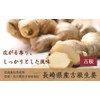 Pikaichi Vegetable Kun Ginger, 17.6 oz (500 g), Ginger Made