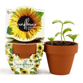 Buzzy Seeds Terracotta Mini Assorted 12-Pack | Best Gardening Gifts and Favors for Weddings, Parties, Events! Modern, Trendy, Unique, and Fun | Growth Guaranteed, Promise! | Buzzy Daydream Series