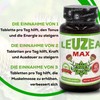 Leuzea Max Maral Root 60 Tablets x 200 mg Natural