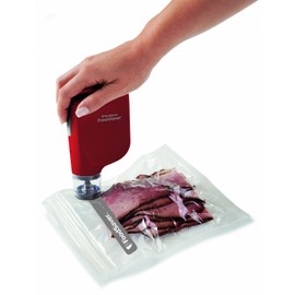 FoodSaver Vacuum Sealer FSFRSH0053 FreshSaver Handheld Sealing System, Red