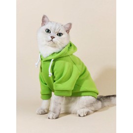 QWINEE Basic Dog Hoodie Sweatshirt Puppy Sweater Warm Cat Costumes Pet Clothes for Chihuahua Puppy Kitten Small Medium Dogs Green Medium