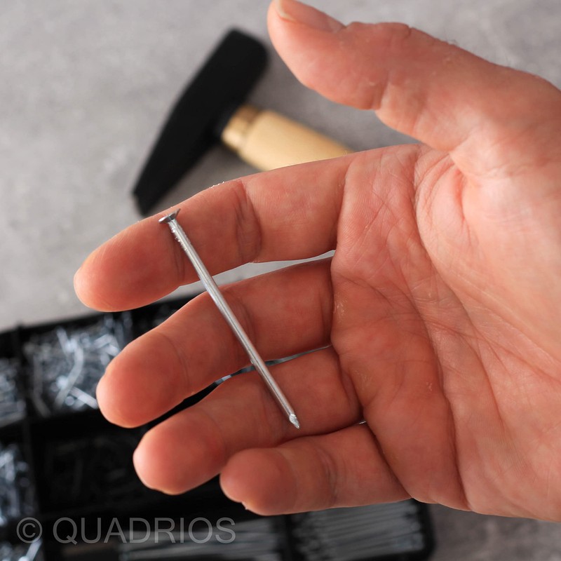 QUADRIOS GmbH Steel Nail Assortment 2000 Pieces Various Nails Carpet