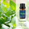 BURIBURI Eucalyptus Oil and Peppermint Essential Oil, 100% Pure, Undiluted,