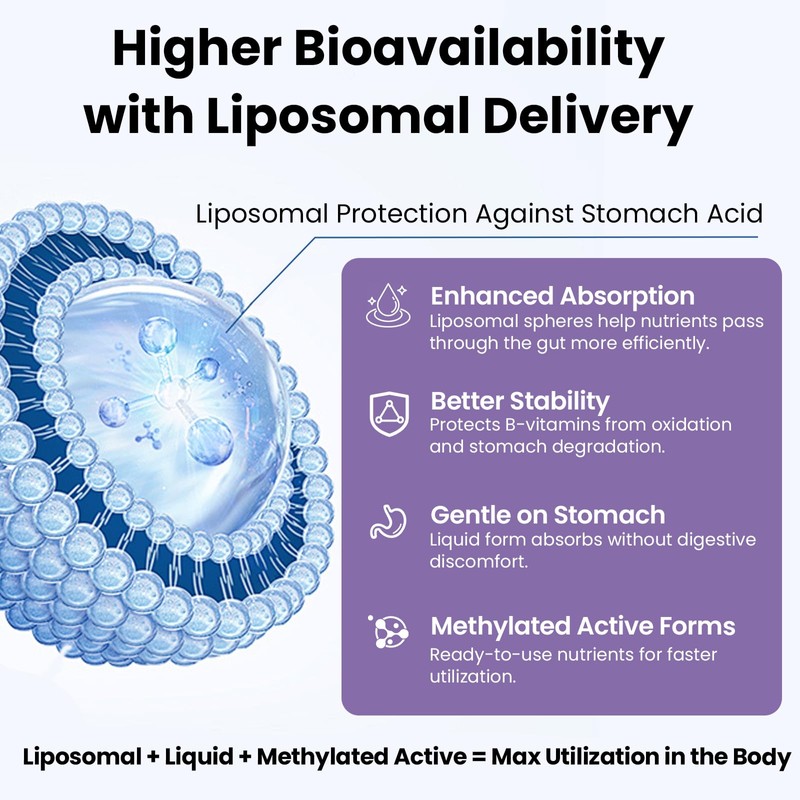 Liposomal Vitamin B Complex Liquid Sublingual B Complex Vitamins Supplement