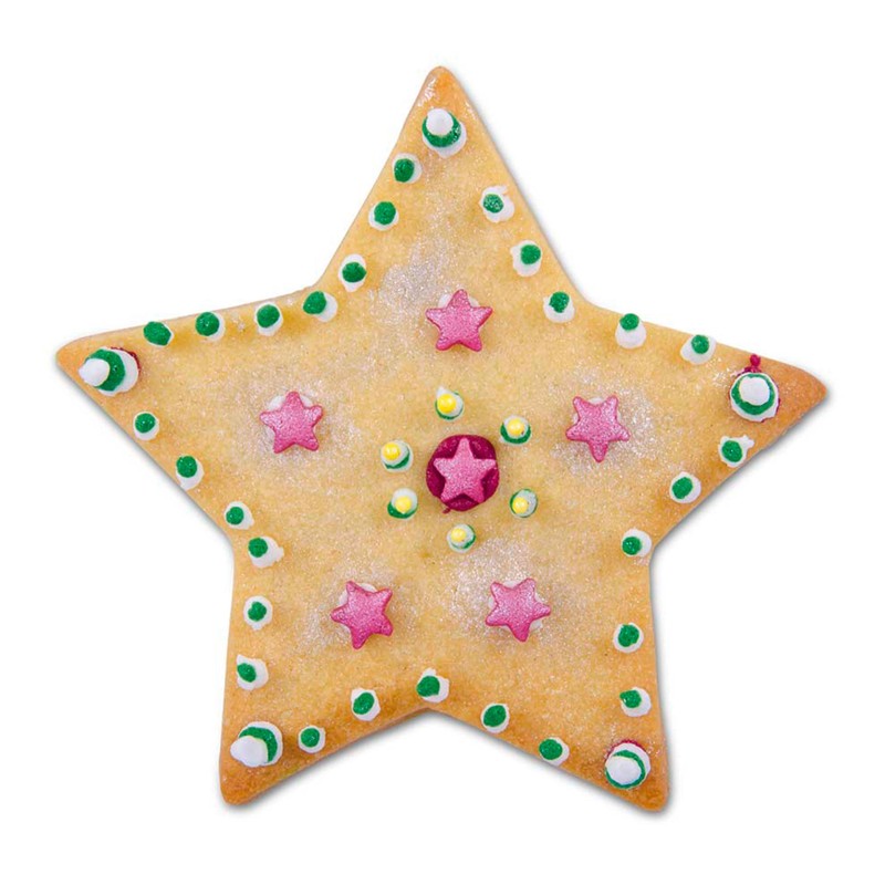 Staedter 5 Pointed Star Cookie Cutter, Silver, 12 cm
