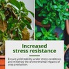 Humboldts Secret Tree Trunk - Silicate Additive - Advanced Nutrients