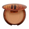 T.Leclerc Le Soleil Bronzing Powder 17g 01 Soleil Gold