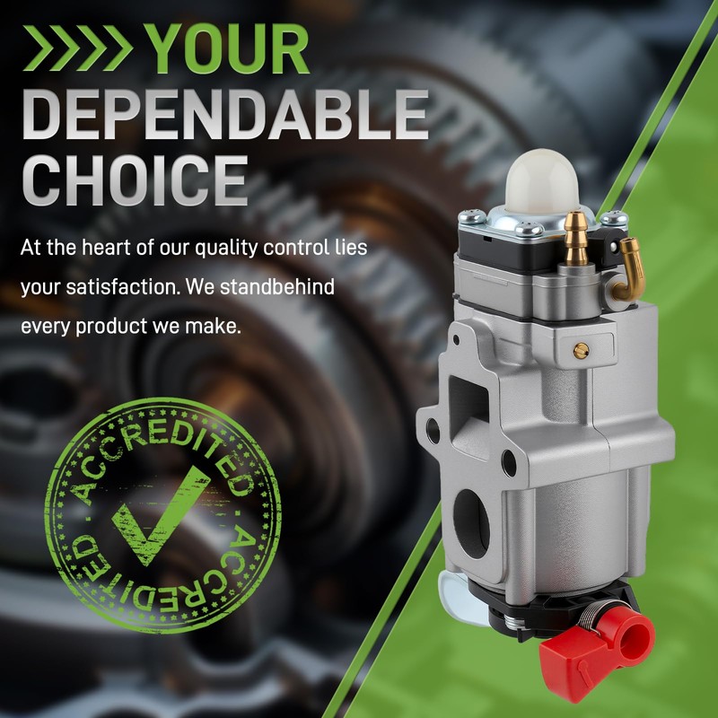 Carbbia A021004920 Carburetor Compatible with Echo Leaf Blowers PB8010T EB810