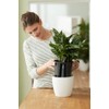 Elho Living Black Self Watering System - Innovative Easy Application