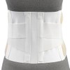 CHAMPION Industrial Belt Back Brace Abdominal Support Shoulder Straps, Black