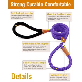 lynxking Dog Leash Slip Rope Lead Leash Strong Heavy Duty Braided Rope No Pull Training Lead Leashes for Medium Large and Small Dogs Purple