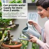 4pcs Ollas 3.1inch Plant Watering Globes Clay Watering Pot with