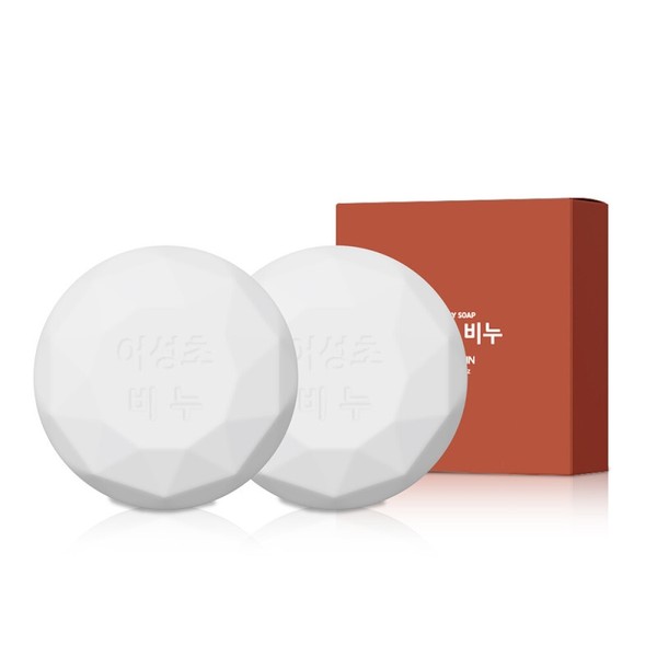 Gongskin Eoseongcho Soap 100g 1+1 _B / 공스킨 어성초 비누