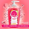 Pond's Limpiador Facial Noche y Día 220 ml