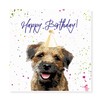 Curled Up Border Terrier Birthday Card - Party Hat