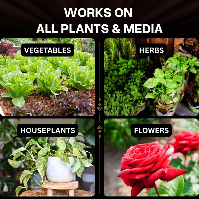 Xtreme Tea Brews – Quick Brew Compost Tea Kit –