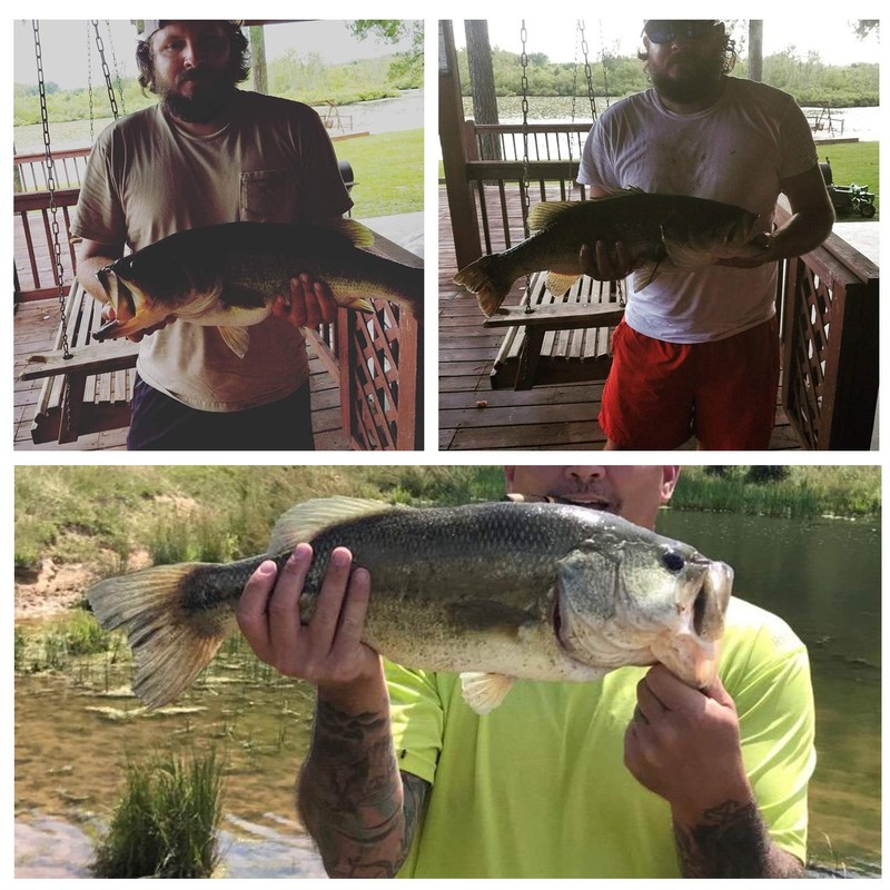 Goture (ゴチュール) フロッグルアー 9個入り 55cm ルアーセット ソフトルアー カエル ルアー フロッグ