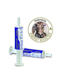 EQUIPUR - Vitalyt 5 x 60 g