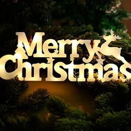 Eggeil Christmas Ornament, Christmas Tree, Decorative Illumination Light, Indoor and Outdoor, Waterproof LED