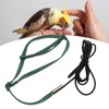 Bird Harness Leash Adjustable Elastic Flying Training Parrot Traction Rope