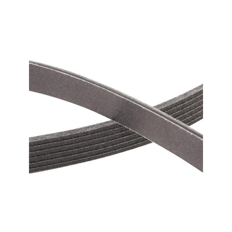 RIDEX Plus 305P0531P V-Ribbed Belt 4.45 mm 2215 mm 21.36