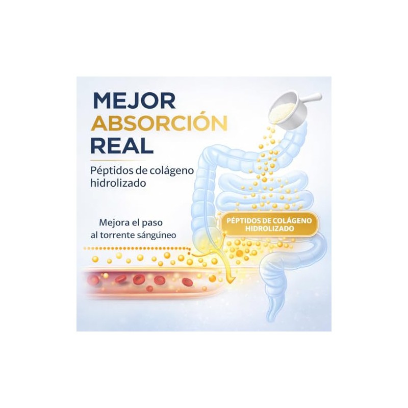 Grenetina Hidrolizada de Res Grass Fed 420g | 95% Biodisponibilidad