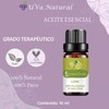 UVA NATURAL Aceite Esencial 10mL AROMATERAPIA (Lima)