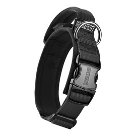 OneTigris Dog Collar with Metal Buckle for Dogs Black S