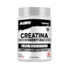 Testrol Creatina Essential en Polvo Creatina Monohidratada Apoyo a Potencia,