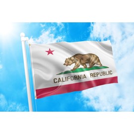 DMSE California State The Bear Flag Flag 2X3 Ft Foot 100% Polyester 100D Flag UV Resistant (2' X 3' Ft Foot)