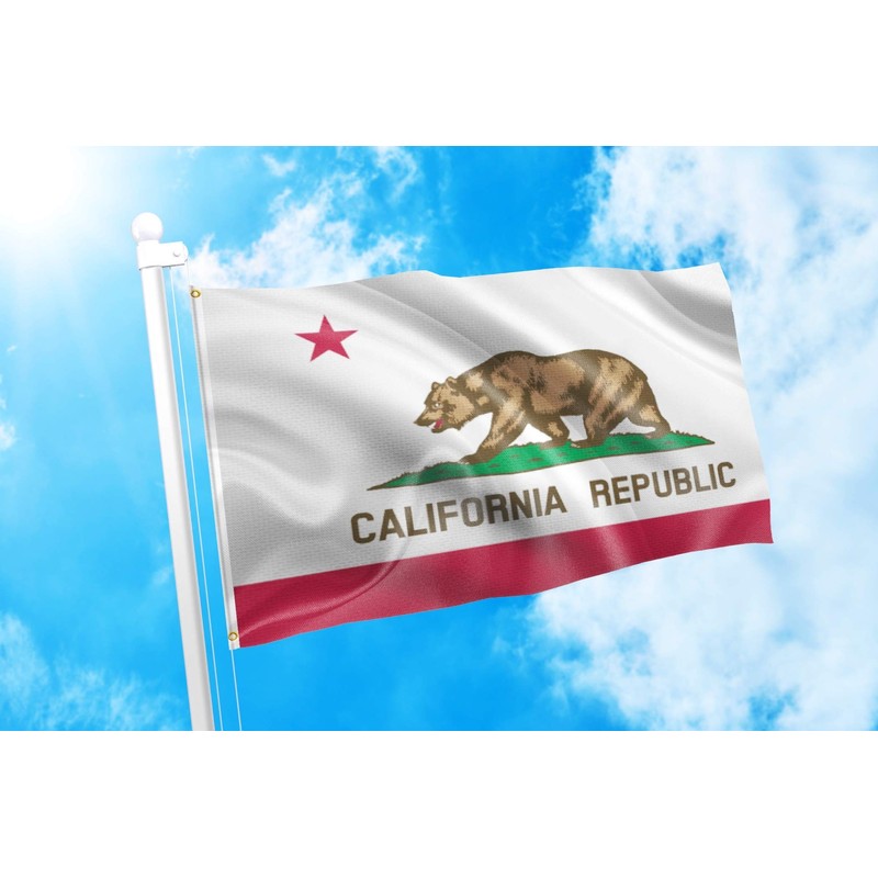 DMSE California State The Bear Flag Flag 2X3 Ft Foot